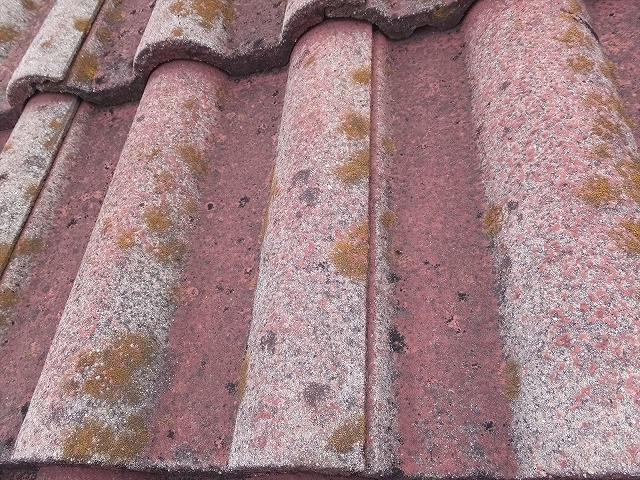 塗装がはがれてカビが生えている